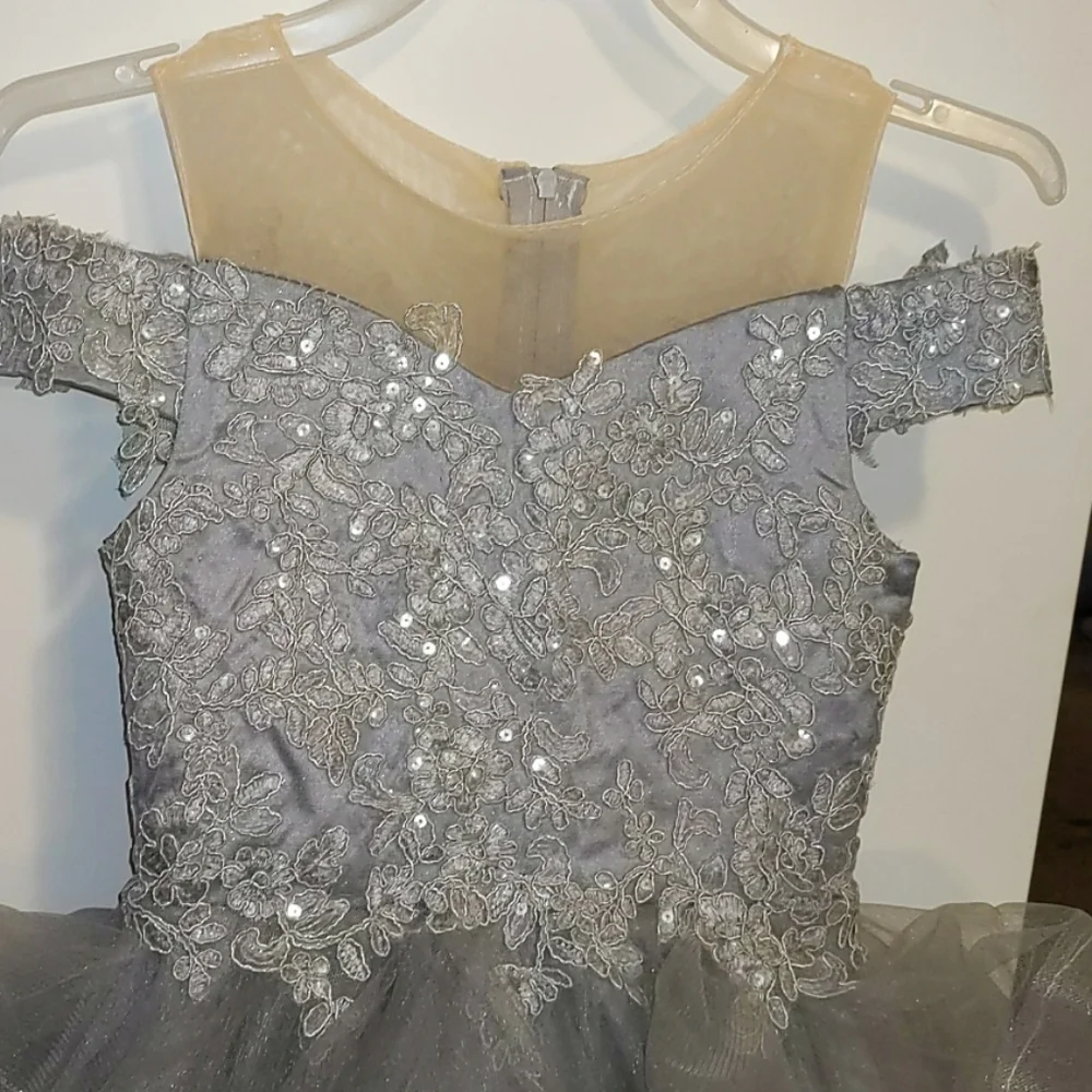 Silver Princess Dress - Picture 2 of 5